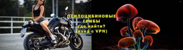 дмт Богданович