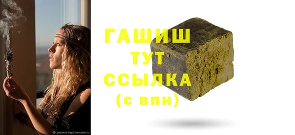 дмт Богданович