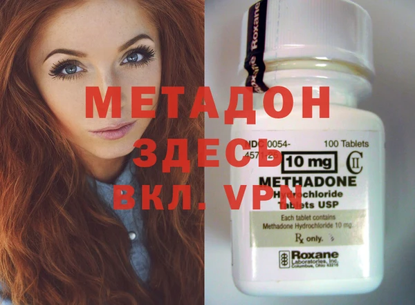 дмт Богданович