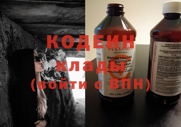 дмт Богданович