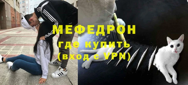 дмт Богданович