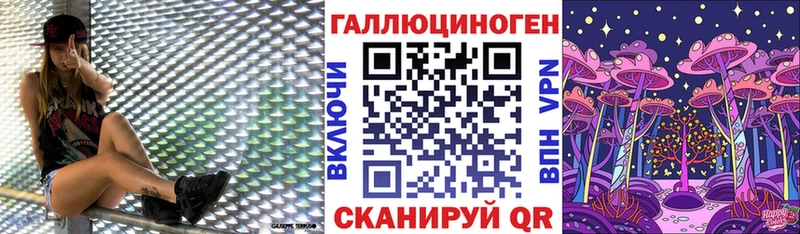 OMG сайт  где продают наркотики  Мензелинск  Псилоцибиновые грибы Psilocybine cubensis 
